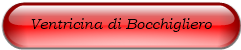 Ventricina di Bocchigliero